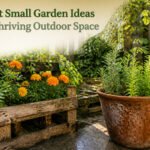 A small garden filled with various plants and decorative elements.